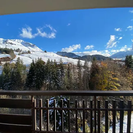Confortable Au Centre Du Chinaillon, Proche Commerces Et Pistes, Avec Menage Inclus - Fr-1-241-239
