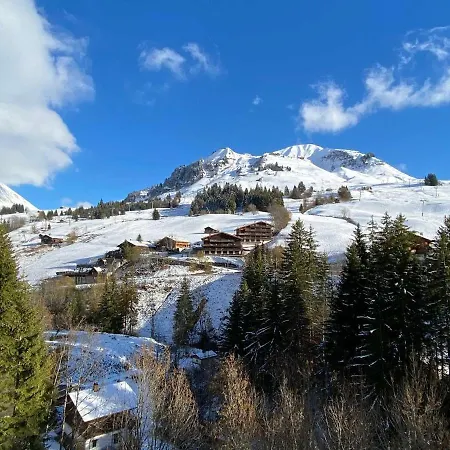 Confortable Au Centre Du Chinaillon, Proche Commerces Et Pistes, Avec Menage Inclus - Fr-1-241-239